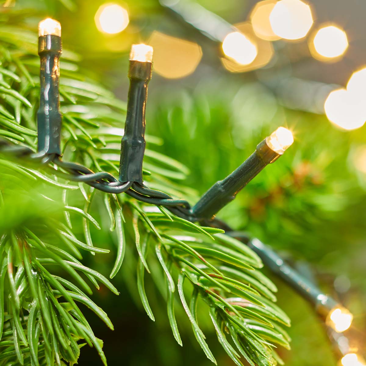 Lichterkette LED-Bündel kompakt 700 LEDs 14m jetzt kaufen - Aktionskönig