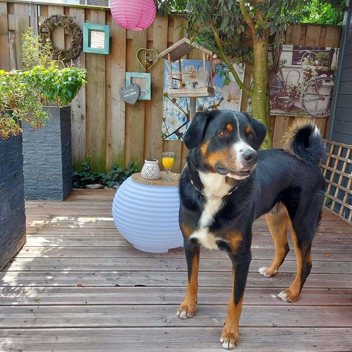 Nikki.Amsterdam The.Pouf RGB LED & Lautsprecher jetzt kaufen - Aktionskönig