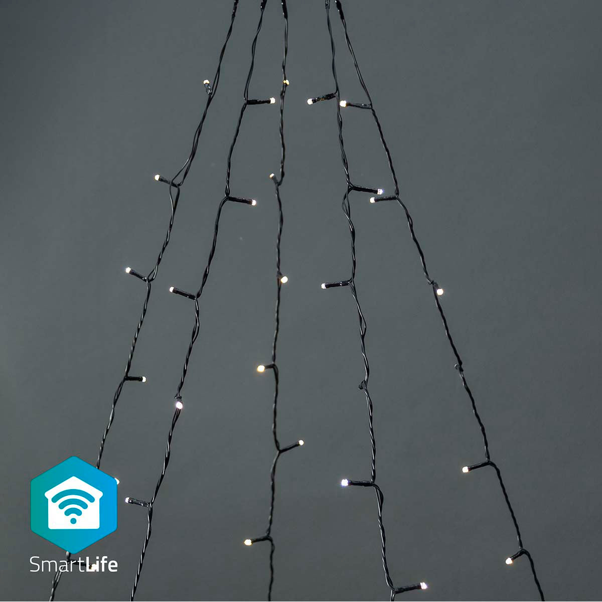 LED-Lichterkette Baum weiß 200 LEDs 5x4m jetzt kaufen - Aktionskönig